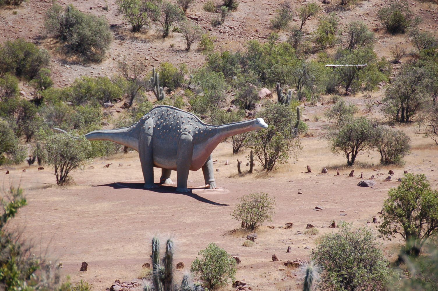 Monumento Natural Pichasca y paisaje prehistórico