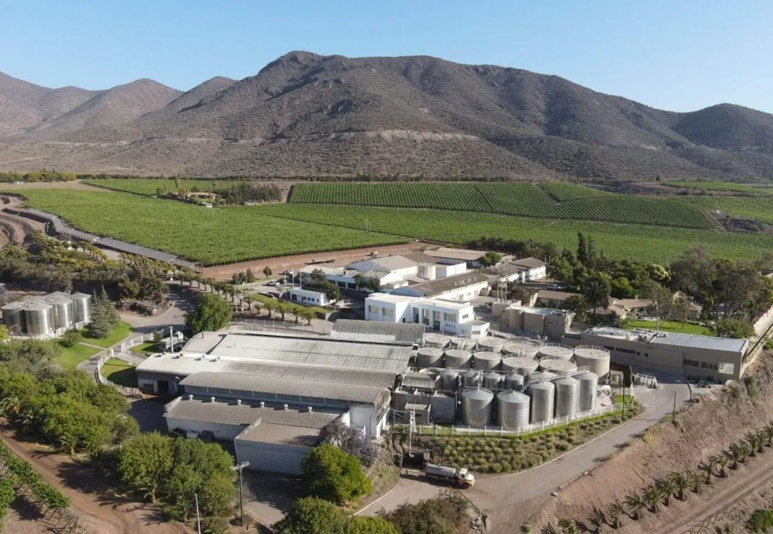 Huamalata y tradición pisquera cerca de Ovalle