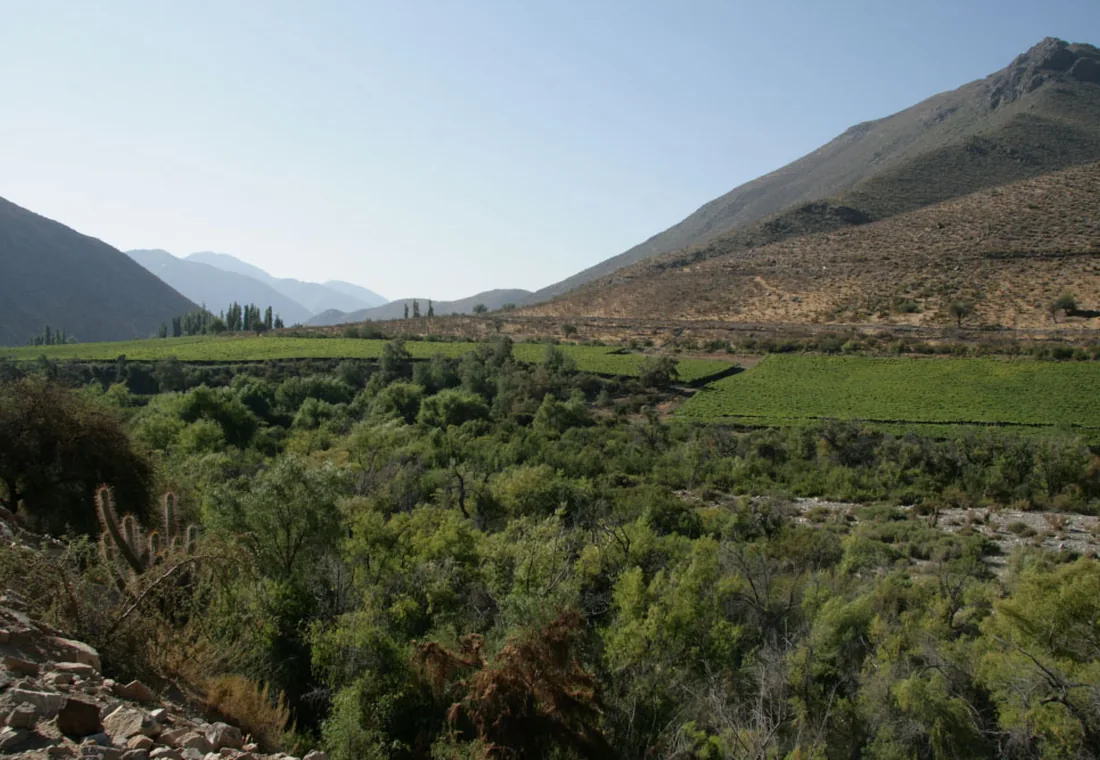 Monte Patria, Tulahuén y caminos interiores del Limarí